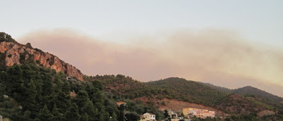 Καίει ακόμα η φωτιά στο Μαντούδι - Φωτογραφία 2