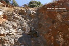 Ανακοίνωση - Μονάδας Εφέδρων Καταδρομών Μ.Ε.Κ. - Ελληνικής Ομάδας Δράσης Ε.Ο.Δ