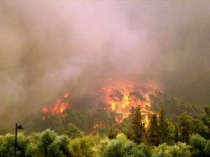 Μεγάλη πυρκαγιά στον Δραπανιά Κισάμου - Φωτογραφία 1
