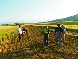 Περιφέρεια Κρήτης: Ενημέρωση για τους Νέους Αγρότες έτους ένταξης 2009 - Φωτογραφία 1