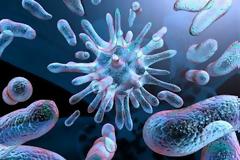 8 σούπερ οργανισμοί που «εξουσιάζουν» τον κόσμο!