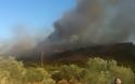 Φθιώτιδα: Πυρκαγιά στο Αχλάδι κοντά στο σκουπιδότοπο...