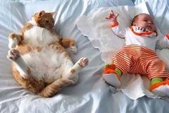 ΔΕΙΤΕ: Ακαταμάχητος συνδυασμός