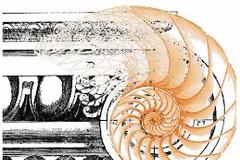 Ο χρυσός αριθμός Φ