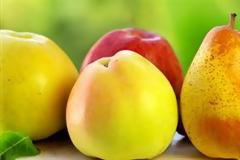 ΔΕΙΤΕ: 7 υπερτροφές του Σεπτεμβρίου