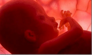 Καλύτερα τα κατεψυγμένα έμβρυα στην εξωσωματική - Φωτογραφία 1