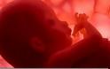 Καλύτερα τα κατεψυγμένα έμβρυα στην εξωσωματική