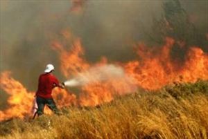 Πυρκαγιές στην Κρήτη με τραυματισμό πυροσβέστη - Φωτογραφία 1