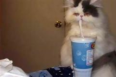 ΔΕΙΤΕ: Σε κατάσταση hangover