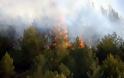 Μεσσηνία: 32χρονος ομολόγησε ότι έχει βάλει 22 φωτιές