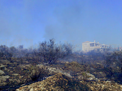Φωτιά κοντά στο οικισμό της Πολεμικής Αεροπορίας στα Χανιά - Φωτογραφία 5
