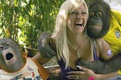 Ποιο είναι το πιο έξυπνο ζώο και τι είναι ικανό να κάνει;