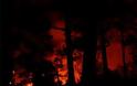 Υπό μερικό έλεγχο τέθηκαν οι πυρκαγιές στις περιοχές Περάνι Σαλαμίνος και Δύο Βουνά Λαμίας