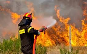 Σε εξέλιξη πυρκαγιές σε Εύβοια και Λακωνία - Φωτογραφία 1