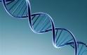 Τα «σκουπίδια» του DNA κρύβουν πολύτιμες θεραπείες