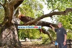 Από τύχη δεν θρηνήσαμε θύματα στη Φωτάδα Τρικάλων! [video]