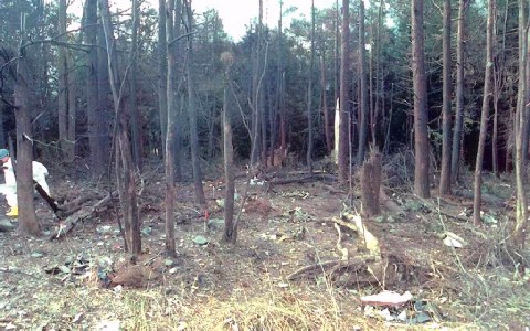 Αναπάντητα ερωτήματα - Οι θεωρίες συνωμοσίας πίσω από την 11η Σεπτεμβρίου - Φωτογραφία 6