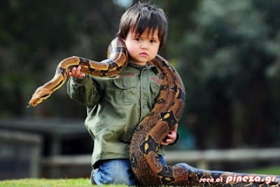 Ο 2χρονος γητευτής φιδιών από την Αυστραλία - Φωτογραφία 6