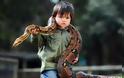 Ο 2χρονος γητευτής φιδιών από την Αυστραλία - Φωτογραφία 6