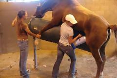 Οι χειρότερες δουλειές στον κόσμο