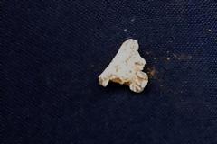 Τα πιο αηδιαστικά πράγματα που βρέθηκαν μέσα σε Hot Dogs