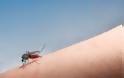 Νέο κρούσμα ελονοσίας στα Τρίκαλα και άφιξη του ΚΕΕΛΠΝΟ