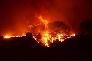 Σε εξέλιξη βρίσκονται πυρκαγιές σε Φάρσαλα και Άνδρο - Φωτογραφία 1