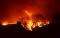 Σε εξέλιξη βρίσκονται πυρκαγιές σε Φάρσαλα και Άνδρο