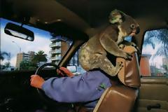 FUNNY: Συμβαίνουν στην...Αυστραλία!