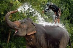 ΔΕΙΤΕ: Προετοιμασία λίγο πριν τον... αγώνα!