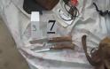 Ποινική δίωξη σε βάρος των καταληψιών συλληφθέντων στις εστίες «Δέλτα» - Φωτογραφία 1