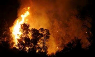 Αχαία: Πυρκαγιά αυτή την ώρα στην Παναγοπούλα - Φωτογραφία 1