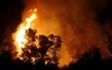 Αχαία: Πυρκαγιά αυτή την ώρα στην Παναγοπούλα