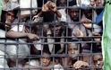 Οι χειρότερες φυλακές του κόσμου - Φωτογραφία 11