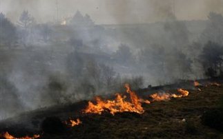 Υπό έλεγχο η φωτιά στην Κέρκυρα - Φωτογραφία 1