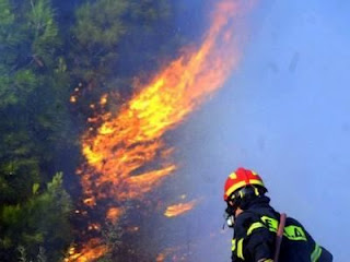 Συνεχίζεται η μάχη με τη φωτιά στη Μεγαλόπολη - Φωτογραφία 1