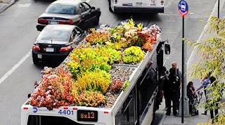 Καταπράσινοι κήποι στις οροφές των… λεωφορείων!!! (PIC) - Φωτογραφία 3