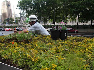 Καταπράσινοι κήποι στις οροφές των… λεωφορείων!!! (PIC) - Φωτογραφία 4