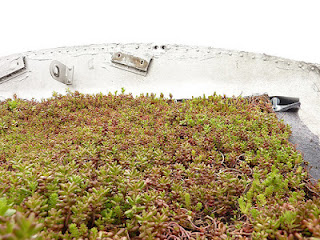 Καταπράσινοι κήποι στις οροφές των… λεωφορείων!!! (PIC) - Φωτογραφία 7