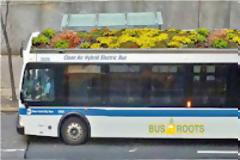 Καταπράσινοι κήποι στις οροφές των… λεωφορείων!!! (PIC)