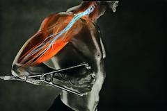 O γρήγορος τρόπος για να χτίσεις σώμα!