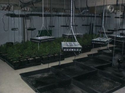 Καρέ-καρέ το ντου της ΕΛ.ΑΣ στα Ψαχνά Ευβοίας στο μεγαλύτερο hi-tech εργαστήριο ναρκωτικών της Ευρώπης - Φωτογραφία 2