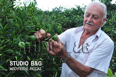 Καταστροφές από το Χαλάζι στην Αργολίδα - Φωτογραφία 4