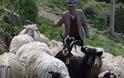 Επίθεση σε 68χρονο κτηνοτρόφο από ομάδα ρομά στη Ξάνθη