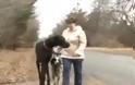 VIDEO:  Ο ψηλότερος σκύλος του κόσμου!