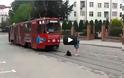 Τεμπέλης σκύλος αρνείται πεισματικά να σηκωθεί για να περάσει το τραμ [Video] - Φωτογραφία 1