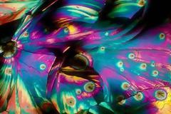 ΔΕΙΤΕ: Τα ποτά στο μικροσκόπιο