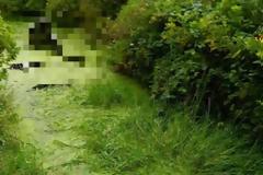 Τρομακτικό γλυπτό σε βάλτο της Ιρλανδίας!