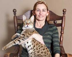 Η πιο ψηλή γάτα στον κόσμο! - Φωτογραφία 2