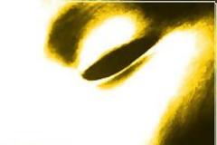 Παράξενη Είδηση: Η μυστηριώδης φυλή των Dzopas που ήρθε από τον ουρανό!!!